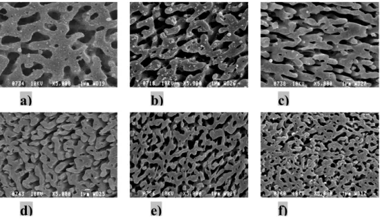 Figure 2-2. Action of the diblock copolymer to reduce the pore size for 50/50 PLLA/PS  blends at copolymer concentrations of (a) 2.5%, (b) 5%, (c) 8%, (d) 12%, (e) 15%, and (f) 20%