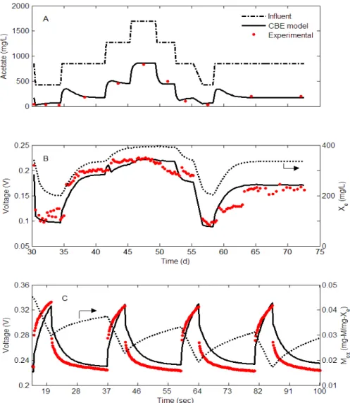 Figure 4.5: Results for the CBE “simulation” model. A comparison of acetate (A) and MFC  voltage (B) experimental values with the calculated profiles