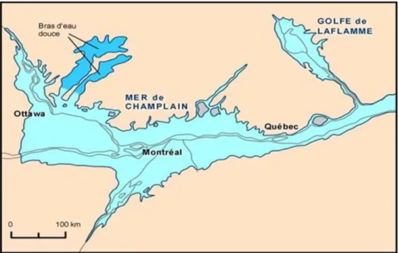 Figure  1.2 :  Extension  maximale  des  eaux  salées  de  la  Mer  de  Champlain  et  du  Golfe  de  Laflamme