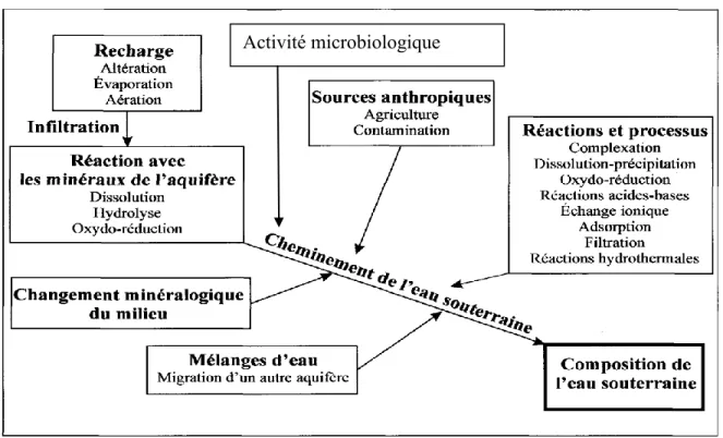 Figure 1.5 : Réactions et processus géochimiques contrôlant la composition de l’eau souterraine  dans un système aquifère régional