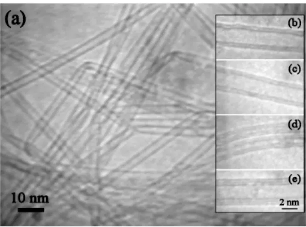 FIG. 1: (a) TEM image of the sample of DWCNTs. (b-d) High-Resolution TEM images of DWC- DWC-NTs; (e) High-Resolution TEM image of a triple-walled CNT.