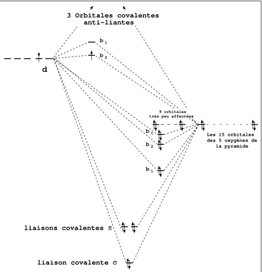 FIG. 1.11 – Les niveaux électroniques de la pyramide à base carrée V 0 5 quand le vanadium et l’oxygène apical forment un vanadyle.