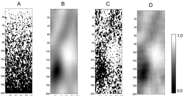 Figure 2.5 A: TI, B: auxiliary variable, C: sample simulation and D: e-type map of 50 real- real-izations