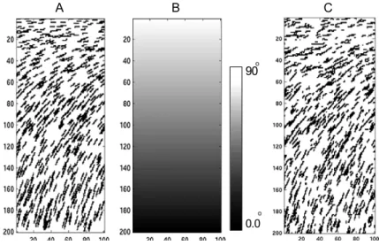 Figure 2.6 A: TI, B: auxiliary variable, C: sample simulation. With permission from Chugunova and Hu (2008).