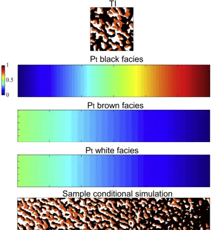 Figure 2.8 Sample conditional simulation of the method proposed with Mariethoz et al (2015)