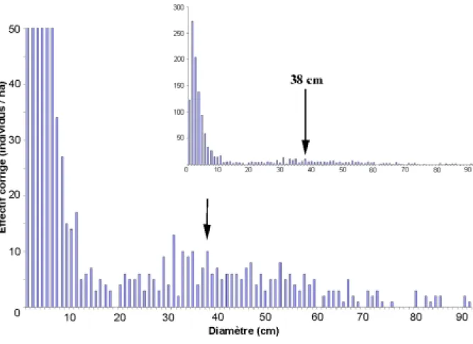 Figure 48 : Distribution des effectifs de A. germinans en fonction des classes de diamètre.