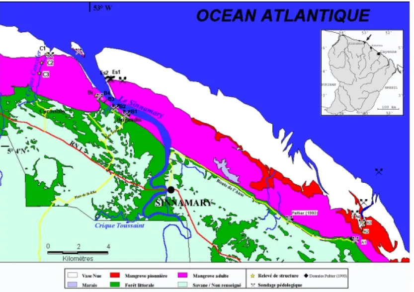 Figure 32 : Zone d’étude: Formations végétales et localisation des sites prospectés  (A : Relevés sur le site de l'Anse ; B1- B4 : Transects B1 à B4 ; Br : Relevé sur le site Brigandin ; C : Relevés sur le site Canceler ; Es : Relevés sur le site Estuaire)