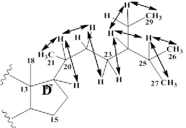 Figure III-13 : Corrélations COSY de la chaîne latérale du composé BM 1