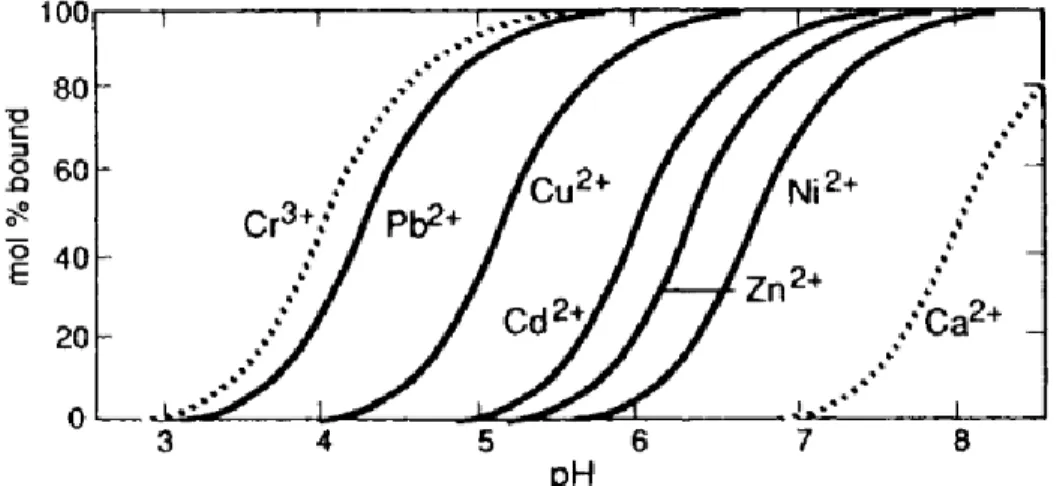 Figure 2.5: Influence du pH sur la formation de complexes de surface entre des métaux et de  l’oxyde de fer hydraté (Stumm and Morgan (1996)) 