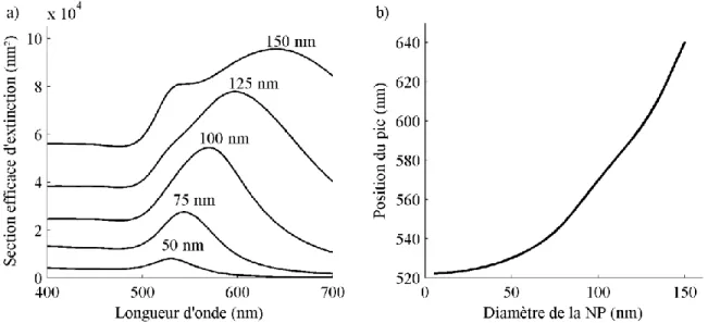 Figure 2.8: a) Spectres d‘extinction calculés par la théorie de Mie pour des NPs d‘or de 50 à 150  nm de diamètres en utilisant la fonction diélectrique de l‘or mesurée par Johnson et Christy [13]