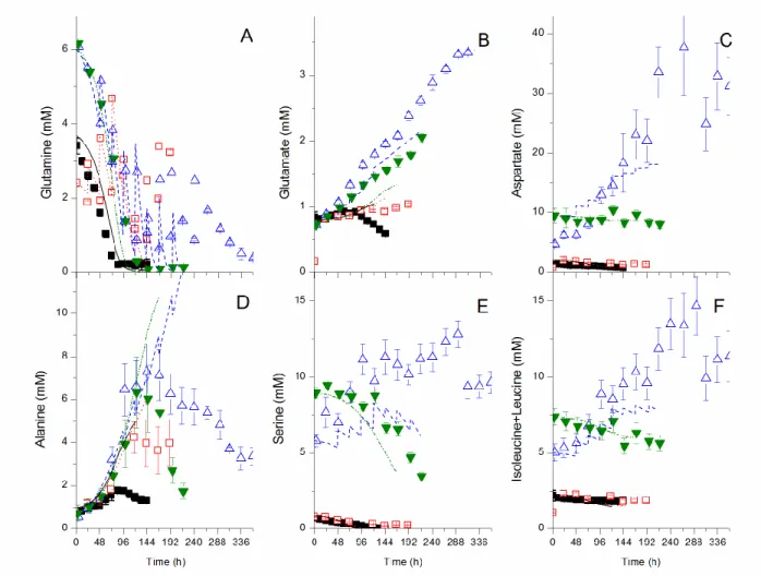 Figure 2.3 Experimental and model simulation results for major extracellular amino acids