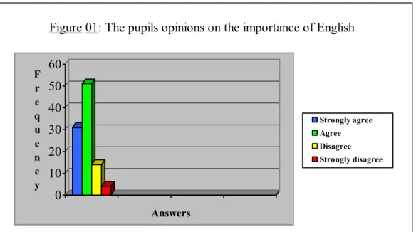 Figure 01: The pupils opinions on the importance of English