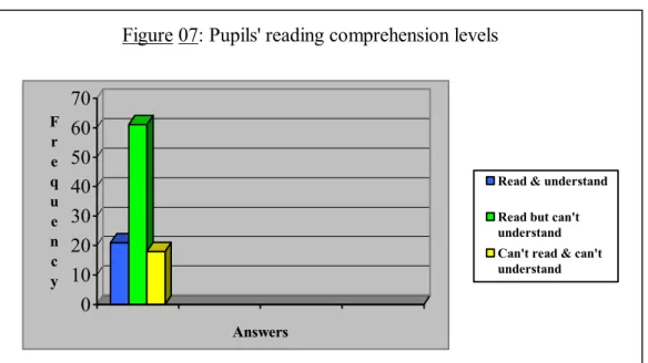 Figure 07: Pupils' reading comprehension levels