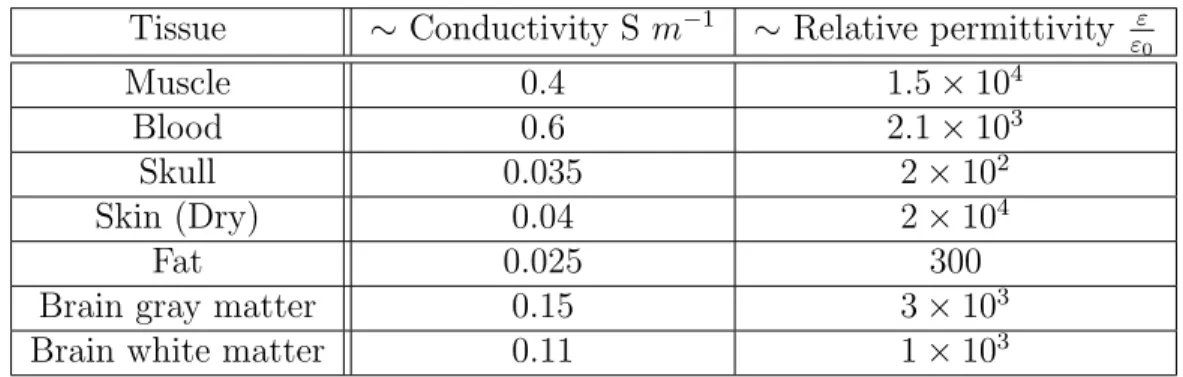 Table 2.1 Dielectric properties (experimental) at 50 kHz (our frequency range of interest for measurements) assigned to each tissue type (Gabriel et al., 1996c,b,a).