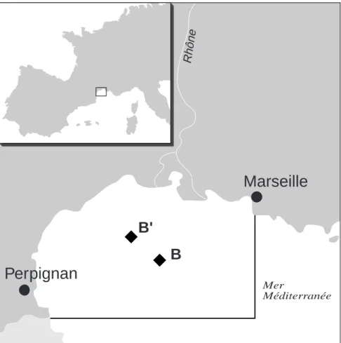 Figure 1 - Zone de l’expérience Fetch. Les traits gras délimitent approximativement la zone d’intervention maximale des avions et du navire