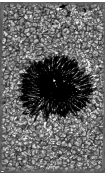 Fig. 1. A G-band image of the field studied (08:04 UT), restored with