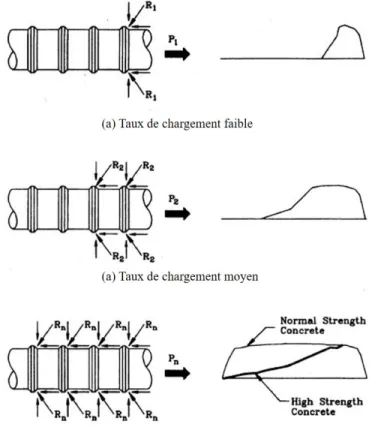 Figure 2.20 – Comportement idéalisé d’une barre en traction ancrée dans un béton (Azizinamini et al., 1993)