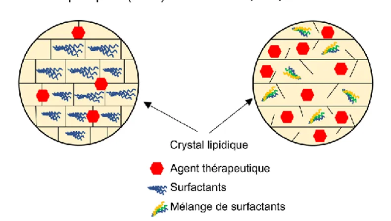 Figure 2.2 : Schéma de la structure des nanoparticules lipidiques NSL et VLN. Figure adaptée de  [18]