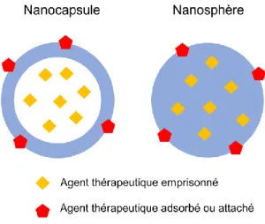 Figure 2.3 : Schéma de la structure des nanocapsules et nanosphères. 