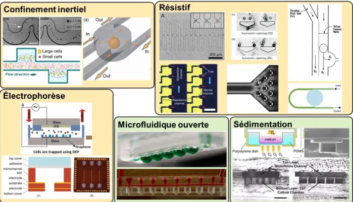 Figure 1-2 : PMÉ qui exploitent le mécanisme de piégeage et  confinement inertiel, de piégeage  résistif, de piégeage par électrophorèse, de piégeage par sédimentation et qui exploitent le principe  de microfluidique ouverte (ou pièges microfluidiques à éc