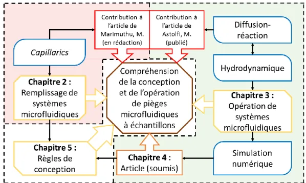 Figure 1-5 : Organigramme du travail présenté dans ce mémoire. Les composants du mémoire sont  présentés : les concepts et méthodes utilisés sont en bleu, les contributions à des articles sont en  rouge et les sections du mémoire sont en jaune