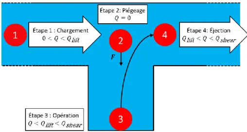 Figure 3-2 : Schéma des effets hydrodynamiques de l’opération d’un PMÉ avec un débit 