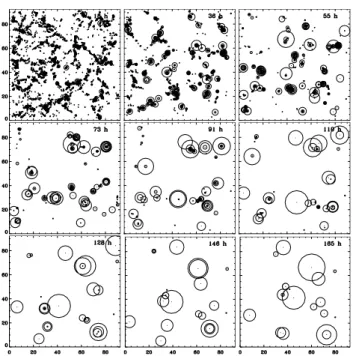 Fig. 5. An sample of the type of bipolar cork structures inserted into