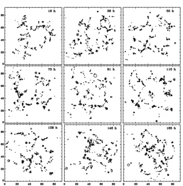 Figure 8 shows on the left-hand side two temporal averages of TRACE 1600 Å image sequences with durations of 50 min