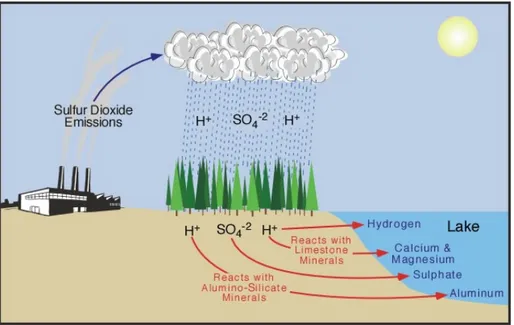 Figure 1-1: Schéma illustrant les étapes de l’acidification des sols et des milieux aquatiques  (Pidwirny, 2006)