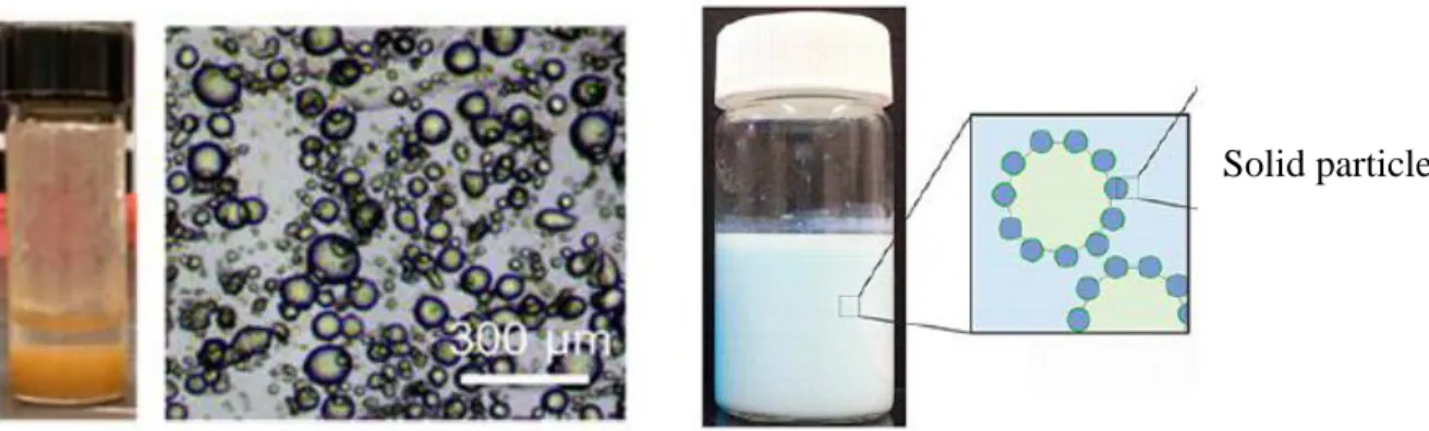 Figure 1.2 Pickering emulsions stabilized by the adsorption of solid particles (Luo, Wang, Yoo,  Wei, &amp; Pentzer, 2018; Sadeghpour, Pirolt, &amp; Glatter, 2013)