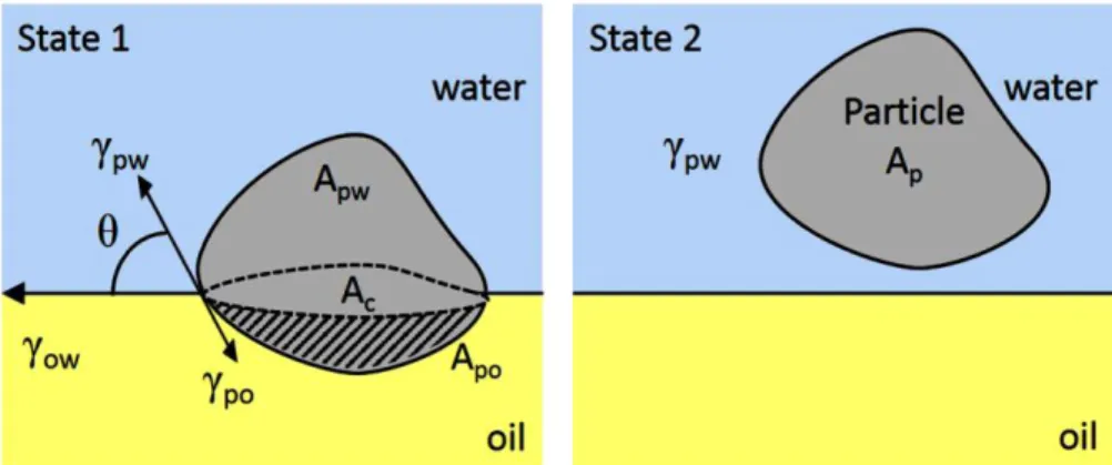 Figure 2.2 Irregular particles at the interface between oil and water  so ,  sw , and  ow  are the 