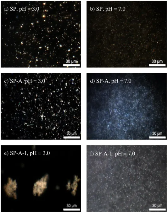 Figure 4.1 Dark field optical microscopy micrographs showing the aggregation state, as a  function of pH (3.0 or 7.0), of SP (a, b), SP-A (c, d), and SP-A-1 (e, f) particles