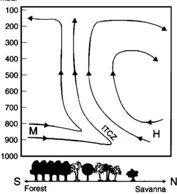 Figure  1.  Schematic of  the general atmospheric dynamics in  central Africa,  depicting the  Intertropical Convergence Zone 