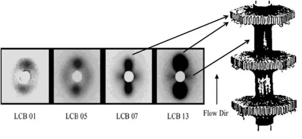 Figure  2-6:  Comparison  of  2D  SAXS  patterns  of  the  four  LCB-iPPs,:  shear  rate=  60s -1 , 
