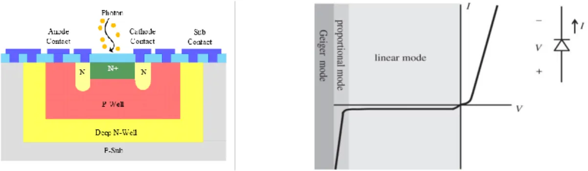 Figure 2.7. Simple cross section of a Single Photon Avalanche Diode and its I-V curve 