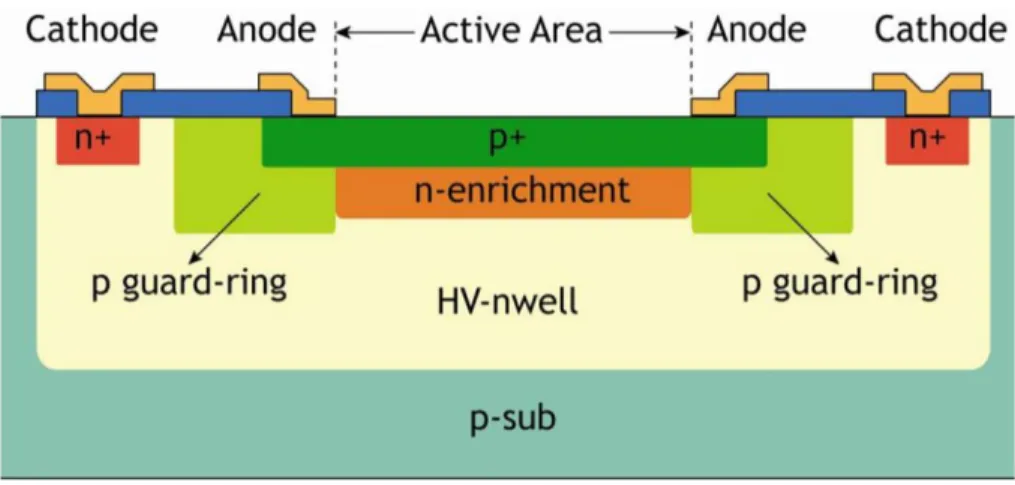 Figure 2.24. Cross-section of the SPAD in 0.35μm CMOS technology, diameter of the active  area are 10 µm-30 µm [76]  