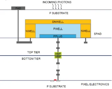 Figure 2.26. p-well/deep n-well SPAD in 65/40 nm 3D IC CMOS technology [78] 