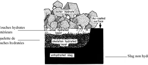 Figure 2-6: Distribution de produits d'hydratation de laitier  en hydratant la pâte de ciment  mélangé (d’après Tanaka et Totani, 1983)