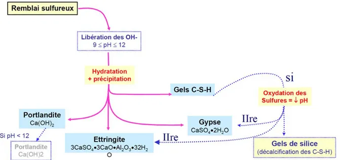 Figure 2-9: Schéma illustrant le processus d'hydratation de remblai en pâte cimenté (tiré de  Belem et Benzaazoua, 2008) 
