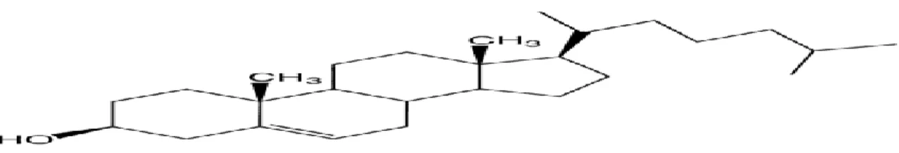Figure 1-6: The chemical structure of cholesterol [43]. 