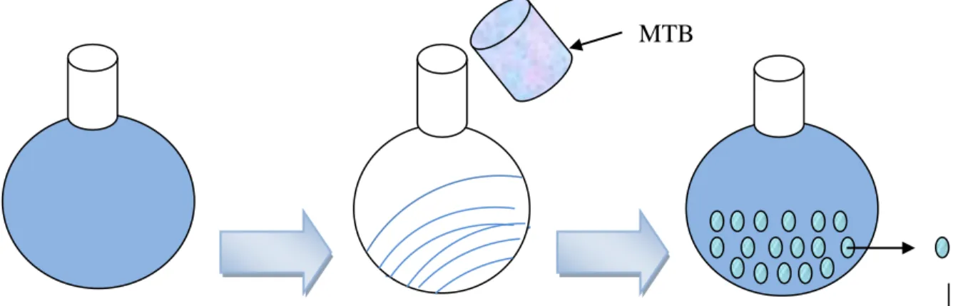 Figure  2-2:  Sketch  explaining  the  encapsulation  of  MTB  in  liposomes  using  the  lipid  film  hydration technique