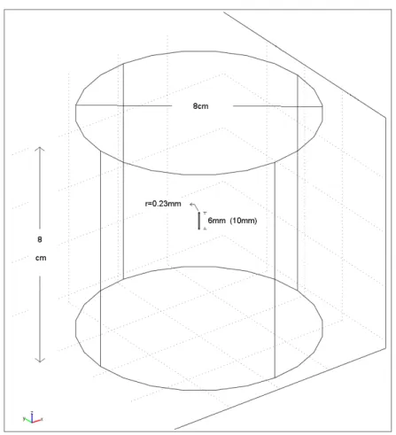Figure  4.5 Applicator-in-Brain Model 