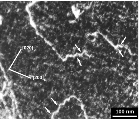 Figure 2 shows the microstructure of a specimen deformed at 2% in compression at 1708C