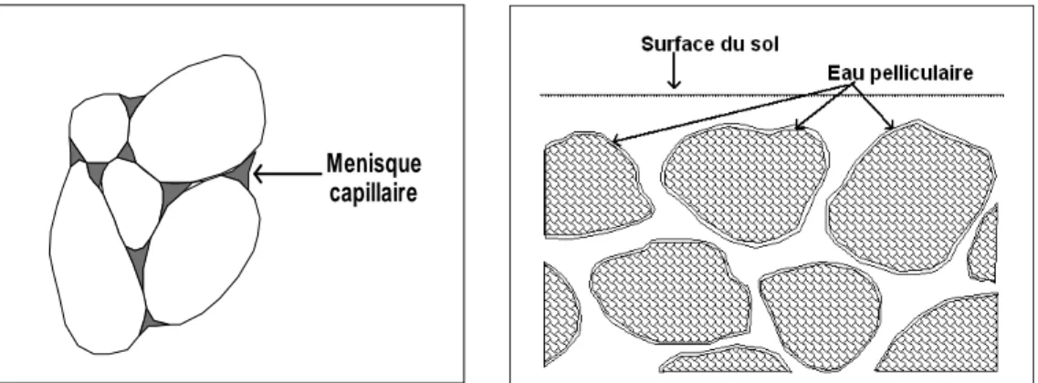 Figure 2.1.  Types d’eau dans un sol non saturé a) Eau capillaire et Ménisque capillaire b) Eau pelliculaire         