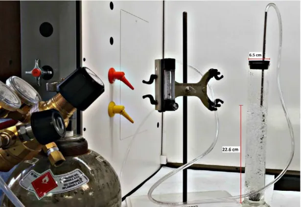 Figure   4-6: Photograph of the set-up used in the H 2  stripping batch test 
