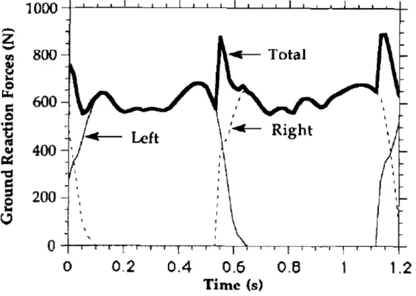 Figure 2.1: Temporal summation of left and right GRF profiles for successive steps [8]