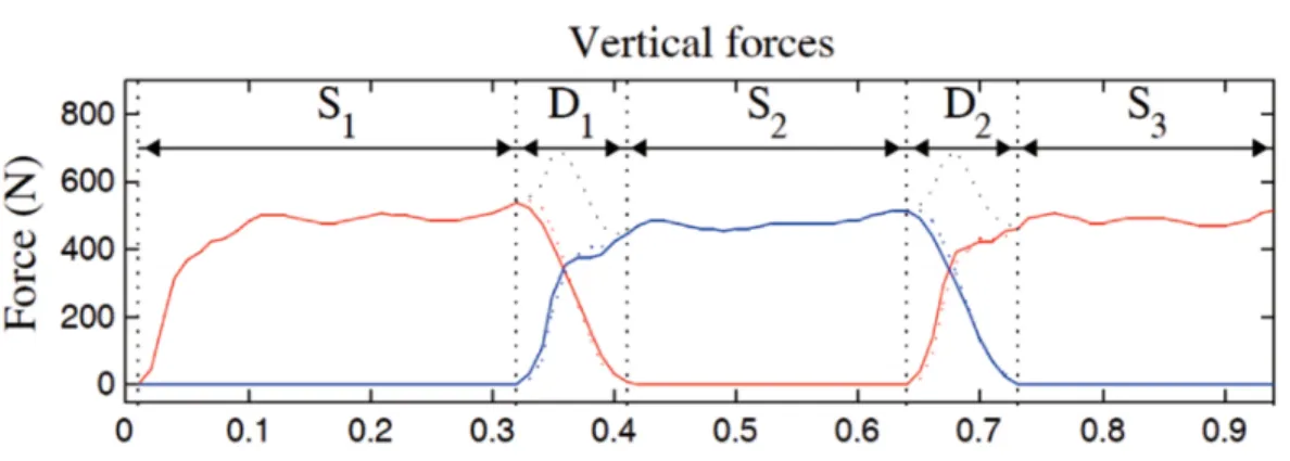 Figure 2.2: Time evolution of the vertical components of the GRFs approximated by splines  (solid line) and the corresponding measured GRFs (dotted line); the total measured vertical GRFs 
