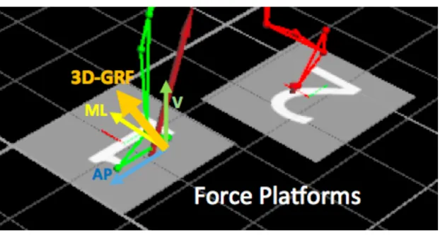 Figure 4.2: Focus on the human body walking on the force platforms. 