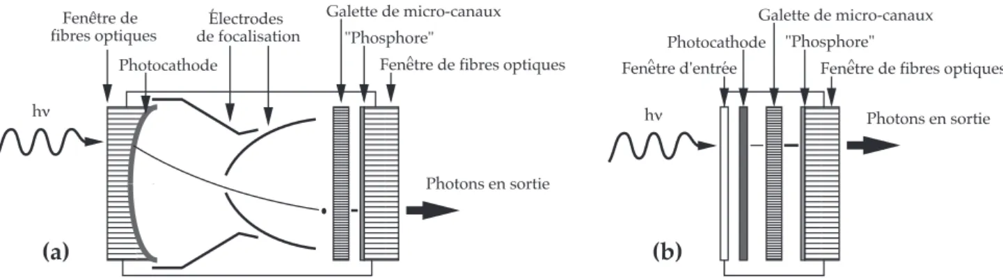 Figure II.6. Sch´ema d’un intensificateur d’images de seconde g´en´eration ` a focalisa- focalisa-tion inverseuse (a) ; et de proximit´e (b).