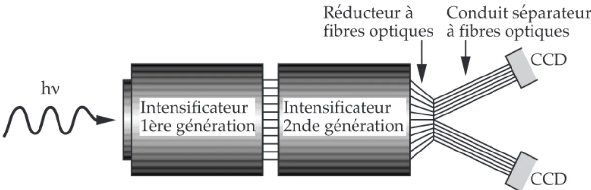 Figure III.7. Sch´ema de la cam´era CP40. On ne voit ici que deux des quatre CCD.